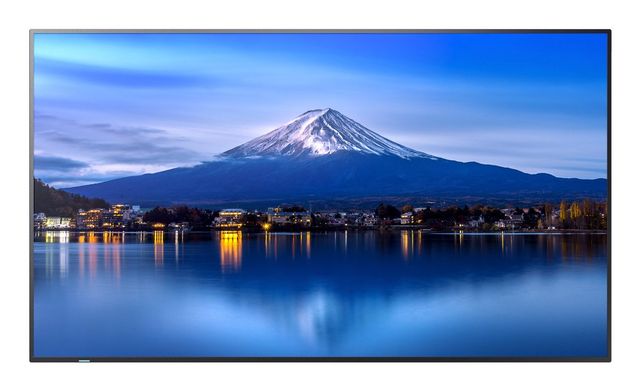 SHARP/NEC MultiSync P656, Design chiosco, 163,8 cm (64.5ʺ), LCD, 3840 x 2160 Pi…