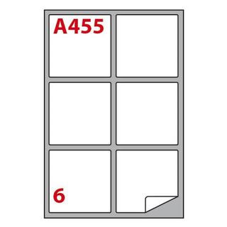 Etichette adesive A/455 - in carta - permanenti - 99,1 x 93,1 mm - 6 et/fg - 10…