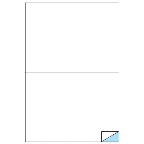 Etichette adesive C/509 - in carta - permanenti - 210 x 148,5 mm - 2 et/fg - 10…