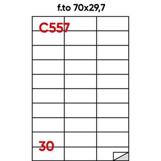 Etichette adesive C/557 - in carta - permanenti - 70 x 297 mm - 30 et/fg - 100 …