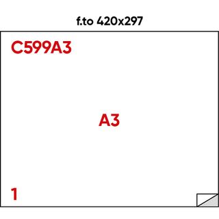 Etichette adesive C/599 - in carta - permanenti - 420 x 297 mm - 1 et/fg - 100 …