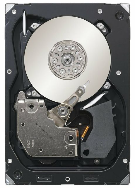 Seagate Cheetah 300GB ST3300657SS
