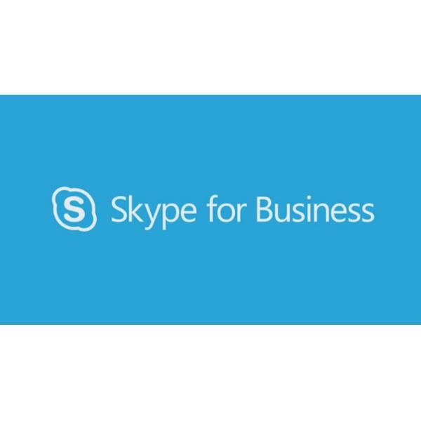 Skype for Business Server Enterprise 2019 User CAL - Commercial