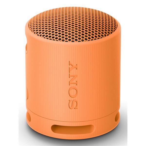 Sony SRS-XB100 - Altoparlante - portatile - senza fili - Bluetooth - Controllat…