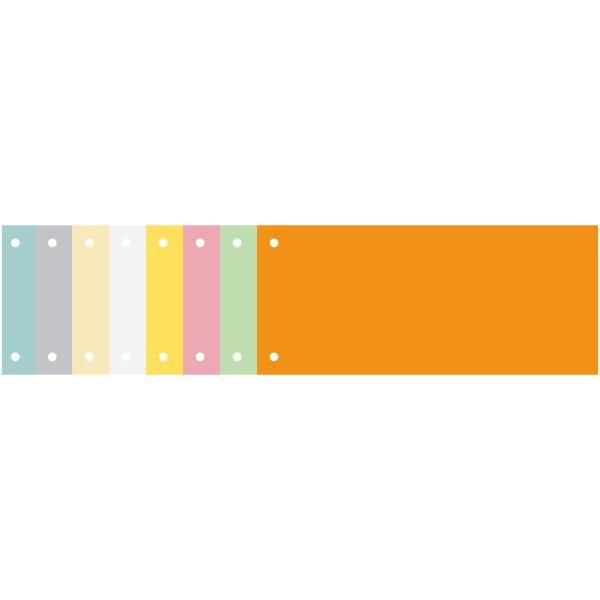 Exacompta Forever - Divisorio - 100 parti - per 105 x 240 mm - orizzontale - ve…