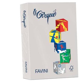 FAVINI HOME-OFFICE BASIC Le Cirque - Grigio - A4 (210 x 297 mm) - 80 g/m² - 500…