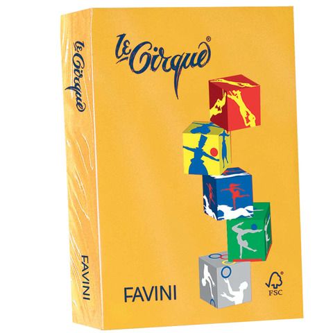 FAVINI Le Cirque - Giallo oro - A4 (210 x 297 mm) - 160 g/m² - 250 fogli carta …