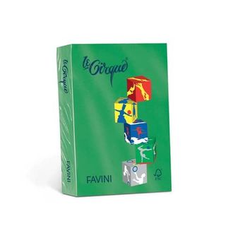 FAVINI Le Cirque - Verde prato - A4 (210 x 297 mm) - 160 g/m² - 250 fogli carta…