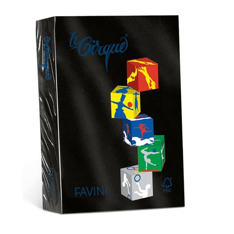 FAVINI Le Cirque forti - Nero - A4 (210 x 297 mm) - 160 g/m² - 250 fogli carta …