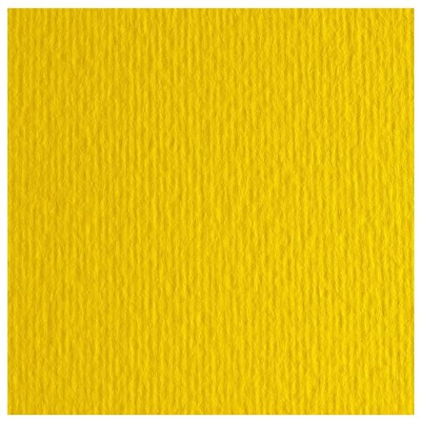 Fabriano Elle Erre - Cartoncino - 700 x 1000 mm - 10 fogli - cedro - 220 g/m² -…
