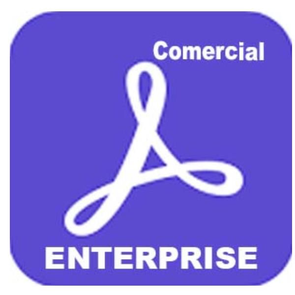 Adobe Acrobat Sign Solutions for enterprise - Nuovo abbonamento (1 anno) - 1 ut…