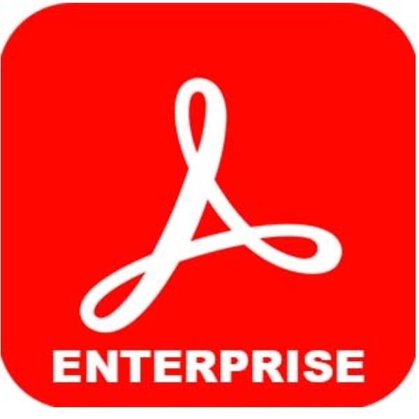Adobe Acrobat Standard for enterprise - Feature Restricted Licensing Subscripti…