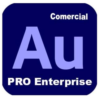 Adobe Audition Edition 4 for enterprise - Nuovo abbonamento (1 anno) - 1 utente…