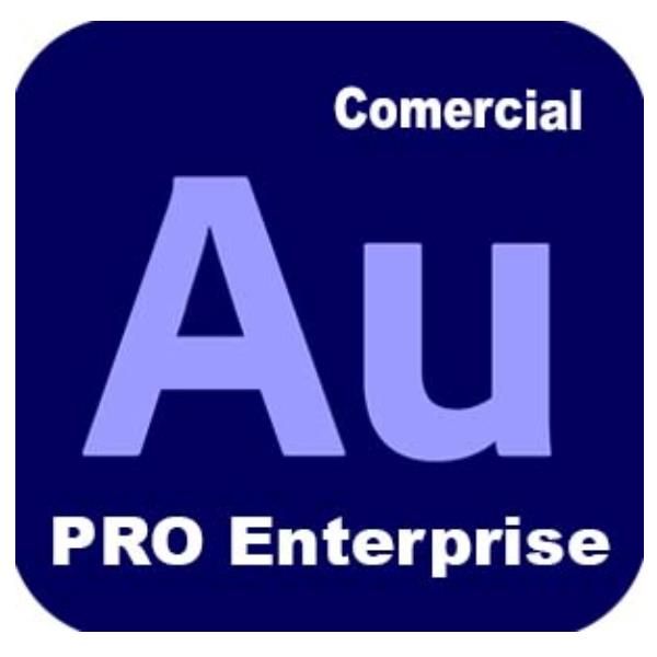 Adobe Audition Edition 4 for enterprise - Nuovo abbonamento (1 anno) - 1 utente…