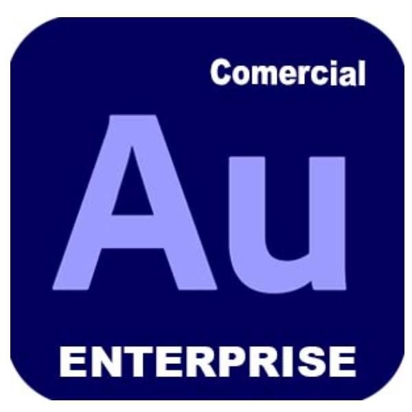 Adobe Audition for enterprise - Nuovo abbonamento (1 anno) - 1 utente nominale …