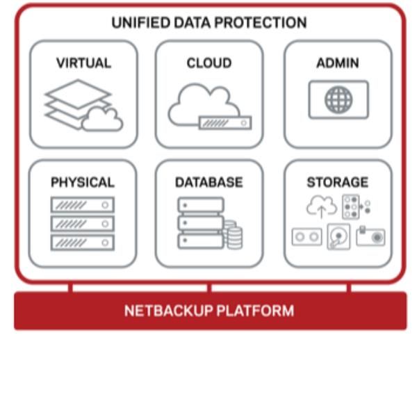 Veritas Essential Support - Supporto tecnico (rinnovo) - per Veritas NetBackup …