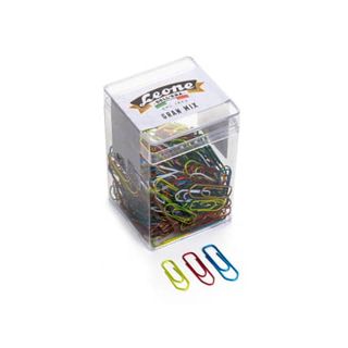 Fermagli - colori e misure assortite - 125 gr - metallo - Leone