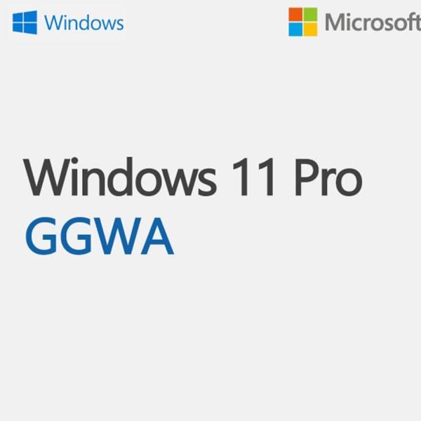 WINDOWS GGWA - WINDOWS 11 PRO N - LEGALIZATION GET GENUINE