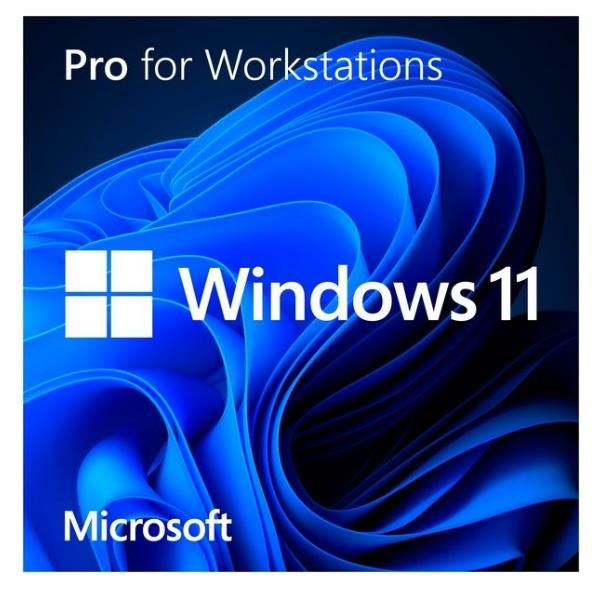 Windows 11 Home to Pro Upgrade for Microsoft 365 Business - Commercial