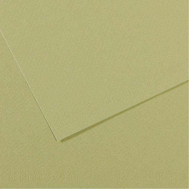 Foglio Mi-Teintes - A4 - 160 gr - verde mandorla - Canson