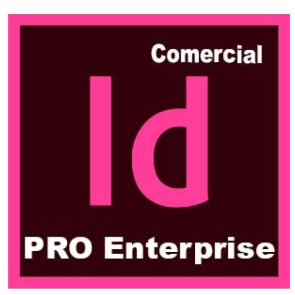 Adobe InDesign Edition 4 for enterprise - Nuovo abbonamento (1 anno) - 1 utente…