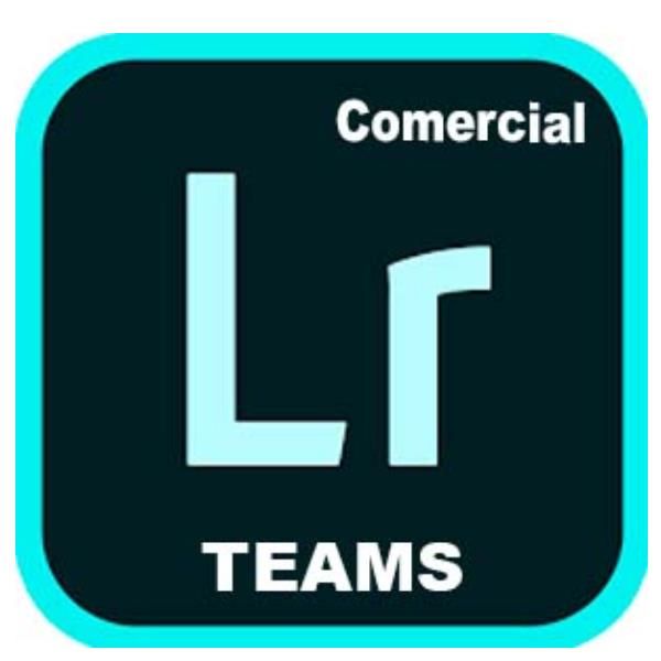 Adobe Lightroom with Classic for teams - Nuovo abbonamento (1 anno) - 1 utente …