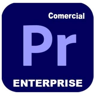 Adobe Premiere Pro for Enterprise - Nuovo abbonamento (1 anno) - 1 utente nomin…