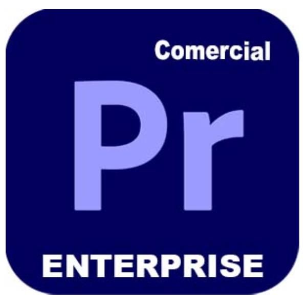 Adobe Premiere Pro for Enterprise - Nuovo abbonamento (1 anno) - 1 utente nomin…
