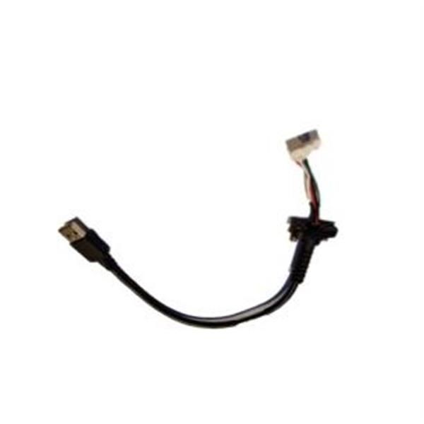 Zebra - Cavo tastiera - USB (M) - 18 cm - per P/N: KYBD-AZ-VC-01, KYBD-QW-VC-01