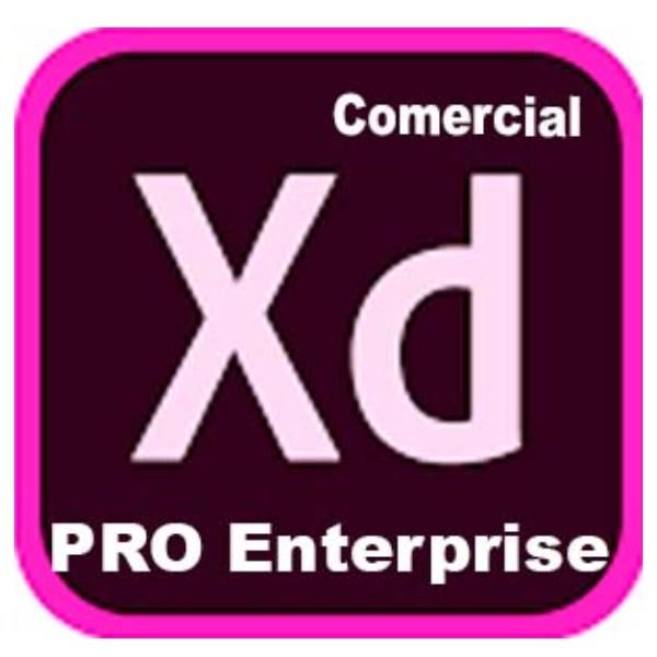 Adobe XD Pro for enterprise - Nuovo abbonamento (1 anno) - 1 utente - GOV - Ado…