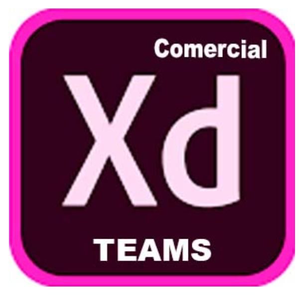 Adobe XD for teams - Nuovo abbonamento (1 anno) - 1 utente - GOV - Adobe Value …