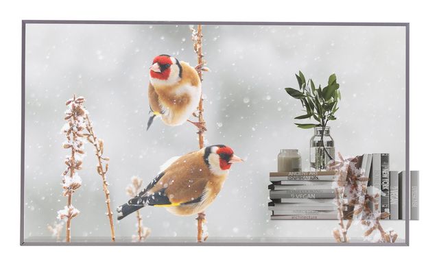 LG 55EW5P-M