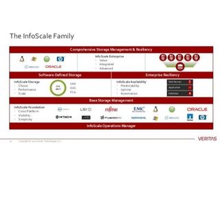 Veritas Business Critical Services Premier Bundle - Supporto tecnico - per Info…