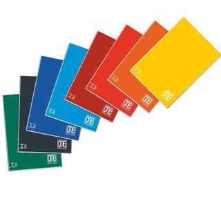 Blasetti One Color - Taccuino - A4 - 30 fogli / 60 pagine - regolabile - dispon…