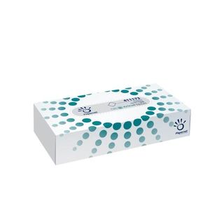 Papernet Superior - Fazzolettini - pura cellulosa - 100 fogli - bianco