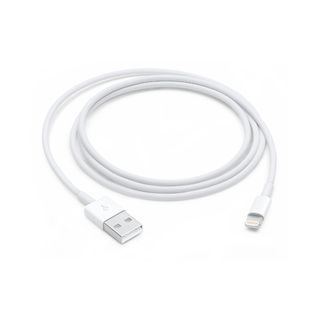 Apple - Cavo Lightning - Lightning maschio a USB maschio - 1 m