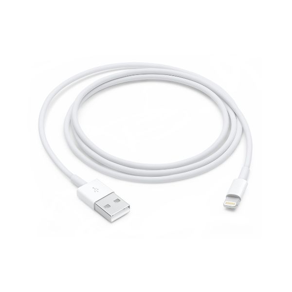 Apple - Cavo Lightning - Lightning maschio a USB maschio - 1 m