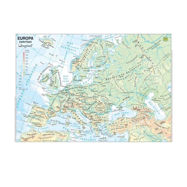 Carta geografica Europa - scolastica - plastificata - 29,7 x 42 cm - Belletti