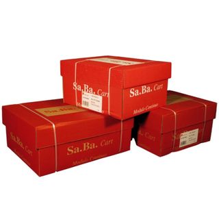Carta in modulo continuo - 24 x 11 " - 60 gr - piste staccabili - bianco - Saba…