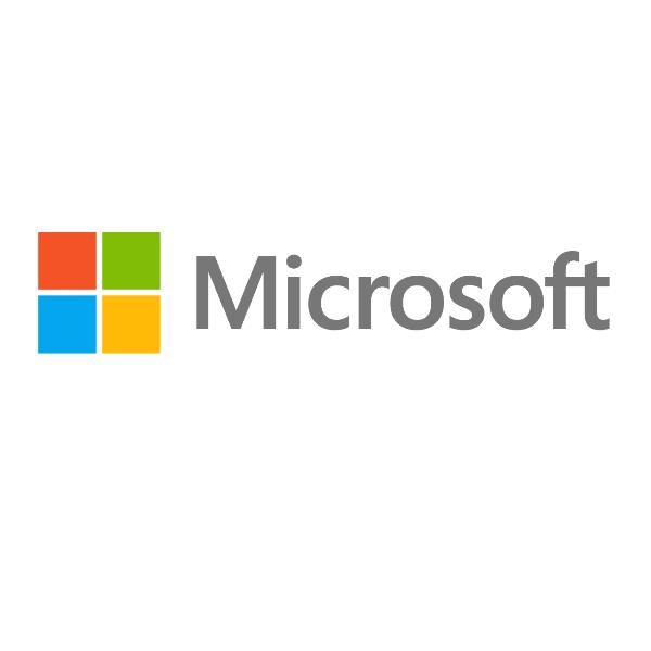 MICROSOFT VISIO LTSC PROFESS+ 2024- CHARITY