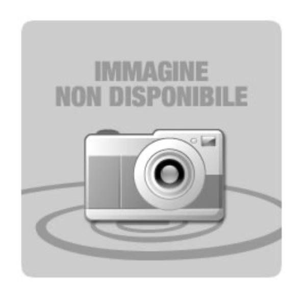 RICOH INTERF WIRELESS 802.11A/B/G/N M19