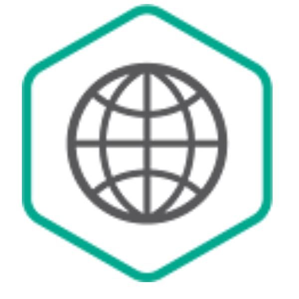 Kaspersky Security for Internet Gateway - Rinnovo licenza abbonamento (3 anni) …