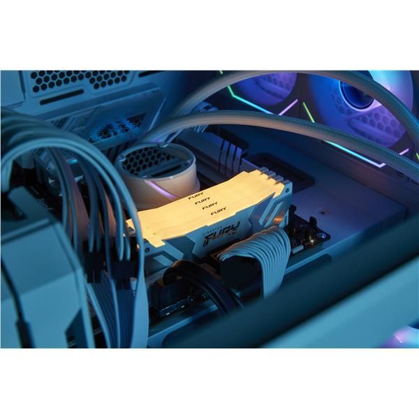 Kingston FURY Renegade RGB - DDR5 - kit - 32 GB: 2 x 16 GB - DIMM 288-PIN - 800…