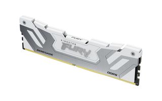 Kingston Renegade