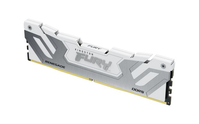 Kingston Renegade