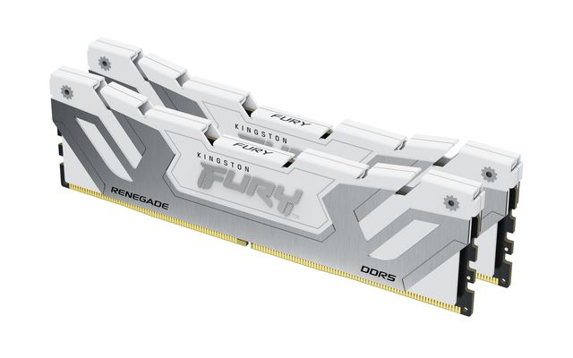 Kingston Renegade