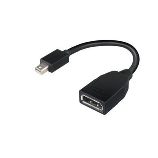 Lenovo - Adattatore DisplayPort - Mini DisplayPort (M) a DisplayPort (F) - 17.6…