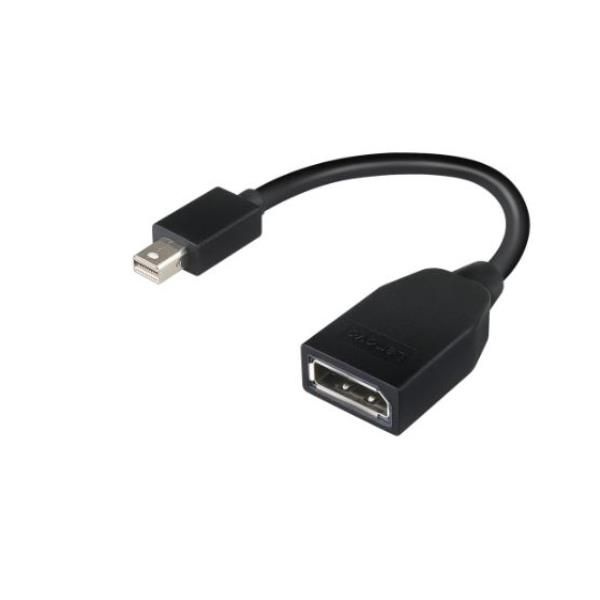 Lenovo - Adattatore DisplayPort - Mini DisplayPort (M) a DisplayPort (F) - 17.6…