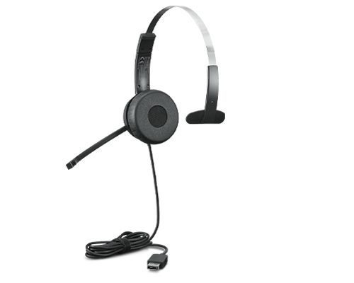 Lenovo 100 - Cuffie con microfono - on-ear - cablato - USB-A - nero - per IdeaP…