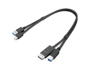 Lenovo Dual Head - Kit cavo display/USB - USB Tipo A, DisplayPort (M) a USB Typ…